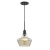 Home Decorators Collection 1-Light Aged Bronze Pendant with Amber Plated Glass Shade and Vintage Bulb -Home Decorators Soldes aged bronze home decorators collection pendant lights hd 1326 i 64 1000