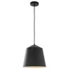 Home Decorators Collection 1-Light Black Metal Industrial Farmhouse Hanging Kitchen Pendant Light