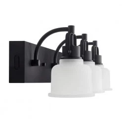 Home Decorators Collection Rockhill 22.07 in. 3-Light Black LED Vanity Light Dark LED -Home Decorators Soldes black home decorators collection vanity lighting 51779 1d 1000