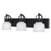 Home Decorators Collection Rockhill 22.07 in. 3-Light Black LED Vanity Light Dark LED -Home Decorators Soldes black home decorators collection vanity lighting 51779 64 1000