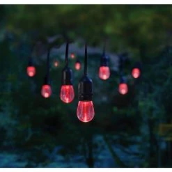 Home Decorators Collection 12-Light 24 ft. Integrated LED String Light with Color Changing Bulbs -Home Decorators Soldes clear bulb with black cable home decorators collection string lights tw01l003wrgb12 40 1000