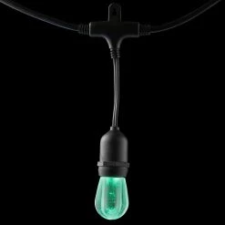 Home Decorators Collection 12-Light 24 ft. Integrated LED String Light with Color Changing Bulbs -Home Decorators Soldes clear bulb with black cable home decorators collection string lights tw01l003wrgb12 4f 1000