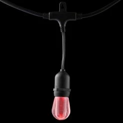 Home Decorators Collection 12-Light 24 ft. Integrated LED String Light with Color Changing Bulbs -Home Decorators Soldes clear bulb with black cable home decorators collection string lights tw01l003wrgb12 77 1000