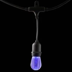 Home Decorators Collection 12-Light 24 ft. Integrated LED String Light with Color Changing Bulbs -Home Decorators Soldes clear bulb with black cable home decorators collection string lights tw01l003wrgb12 a0 1000