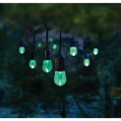 Home Decorators Collection 12-Light 24 ft. Integrated LED String Light with Color Changing Bulbs -Home Decorators Soldes clear bulb with black cable home decorators collection string lights tw01l003wrgb12 d4 1000