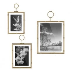 Home Decorators Collection Traditional Gold Bamboo Assorted Picture Frames (Set of 3)