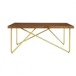 Home Decorators Collection Rectangular Haze Finish Wood Coffee Table with Brass Metal Base (42 in. W x 17.25 in. H)