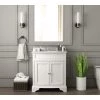 Home Decorators Collection Terryn 31 in. W x 20 in. D x 35 in. H Vanity in White with Engineered White Marble Top and White Sink -Home Decorators Soldes home decorators collection bathroom vanities with tops tj tnv3120wh 64 1000