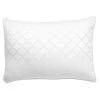 Home Decorators Collection Firm/Extra-Firm Down Alternative Back/Side Sleeper Jumbo Bed Pillow -Home Decorators Soldes home decorators collection bed pillows pi40032 0003 64 1000