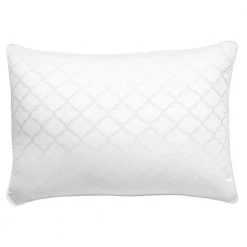 Home Decorators Collection Firm/Extra-Firm Down Alternative Back/Side Sleeper Jumbo Bed Pillow