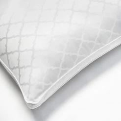 Home Decorators Collection Firm/Extra-Firm Down Alternative Back/Side Sleeper Jumbo Bed Pillow 14 Home Decorators Collection Firm/Extra-Firm Down Alternative Back/Side Sleeper Jumbo Bed Pillow -Home Decorators Soldes home decorators collection bed pillows pi40032 0003 a0 1000