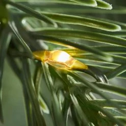 Home Decorators Collection 7.5 ft Merridale Balsam Fir LED Christmas Tree 13 Home Decorators Collection 7.5 ft Merridale Balsam Fir LED Christmas Tree -Home Decorators Soldes home decorators collection pre lit christmas trees 21wl10117 1d 1000