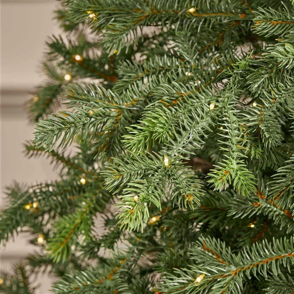 Home Decorators Collection 7.5 ft Elegant Grand Fir Christmas Tree 7 Home Decorators Collection 7.5 ft Elegant Grand Fir Christmas Tree - Image 5