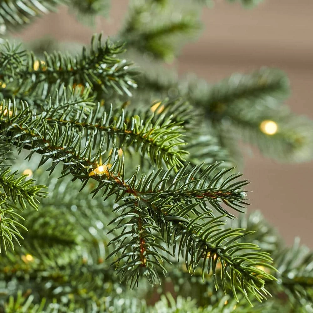 Home Decorators Collection 7.5 ft Elegant Grand Fir Christmas Tree 5 Home Decorators Collection 7.5 ft Elegant Grand Fir Christmas Tree - Image 3