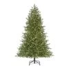 Home Decorators Collection 7.5 ft Elegant Grand Fir Christmas Tree