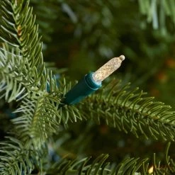 Home Decorators Collection 7.5 ft. Brookside Fraser Fir LED Pre-Lit Artificial Christmas Tree with 900 Color Changing M5 Lights and Memory Wire -Home Decorators Soldes home decorators collection pre lit christmas trees 22wl10110 1d 1000