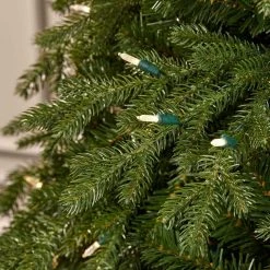 Home Decorators Collection 7.5 ft. Brookside Fraser Fir LED Pre-Lit Artificial Christmas Tree with 900 Color Changing M5 Lights and Memory Wire -Home Decorators Soldes home decorators collection pre lit christmas trees 22wl10110 a0 1000