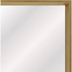 Home Decorators Collection 19.4 in. x 25.4 in. Gold Classic Rectangle PS Framed Vanity Mirror 10 Home Decorators Collection 19.4 in. x 25.4 in. Gold Classic Rectangle PS Framed Vanity Mirror -Home Decorators Soldes home decorators collection wall mirrors 299 l3111 77 1000