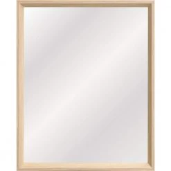 Home Decorators Collection 19.4 in. x 25.4 in. Light Brown Classic Rectangle Framed Vanity Mirror