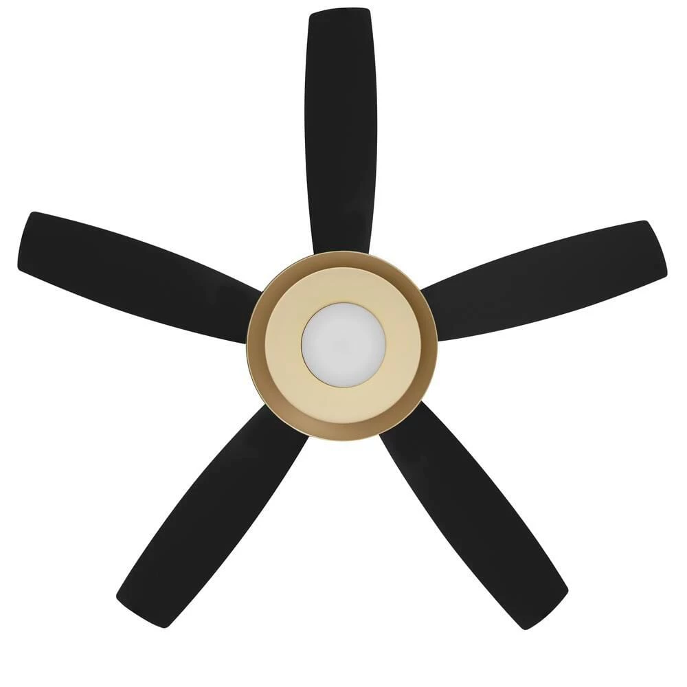 Home Decorators Collection Kempston 52 in. Integrated LED Outdoor Matte Black Ceiling Fan with Light Kit and Remote Control 8 Home Decorators Collection Kempston 52 in. Integrated LED Outdoor Matte Black Ceiling Fan with Light Kit and Remote Control - Image 6