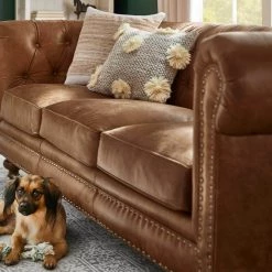 Home Decorators Collection 68.8 in. White/Haze Wood 5-shelf Standard Bookcase with Adjustable Shelves -Home Decorators Soldes white haze home decorators collection bookcases bookshelves sk19346d w 1f 1000